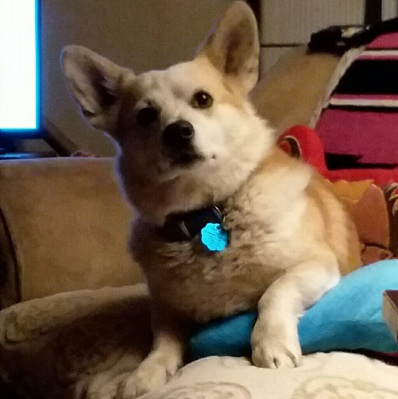 ๐ถ๐น๐ด FYI ๐ด๐น๐ถ - Picture 6 of 8